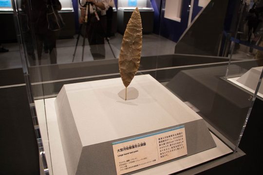 大型月桂樹葉形尖頭器　ヴォルギュ遺跡（フランス）　2万5000年〜2万年前　フランス国立考古学博物館（サン＝ジェルマン＝アン＝レー）所蔵 