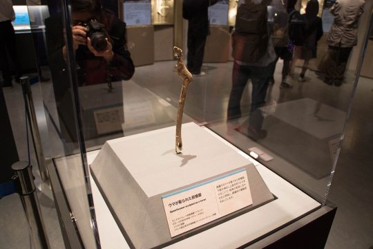 ウマが彫られた投槍器　モンタストリュック岩陰遺跡（フランス）　2万年〜1万4500年前　フランス国立考古学博物館（サン＝ジェルマン＝アン＝レー）所蔵 
