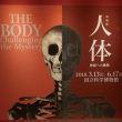 人体の不思議展 Mysteries of the Human Body 人体の不思議展 Misteries of The Human Body / | Natsume Books