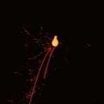 25694-783-b447aefac7ce3d6ea3d7a630fd48da7d-152x152.jpg